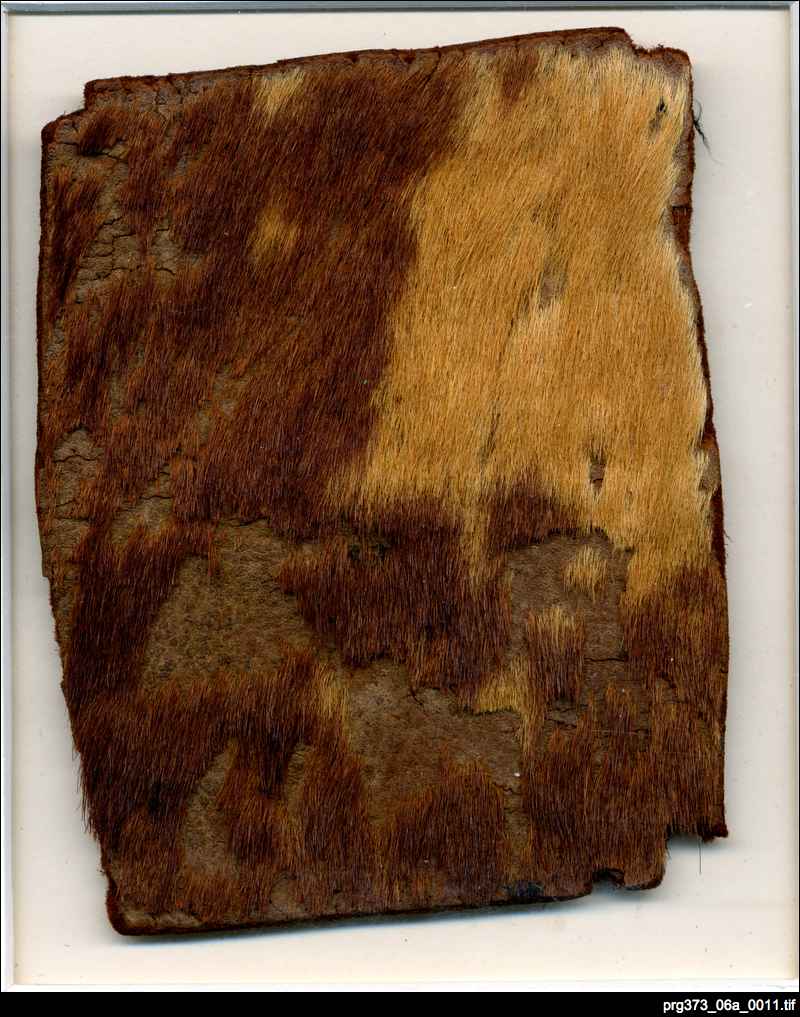 PRG373_06a_0011_Cow_hide